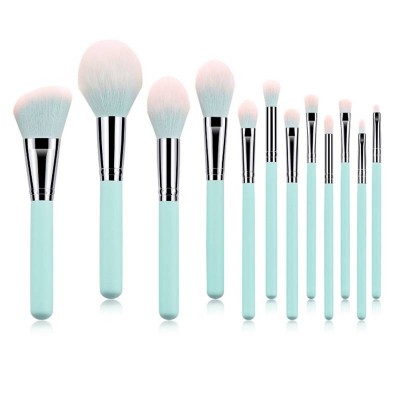 Professional 12PCS Luxury Makeup Brushes With Travel Portable Bag Cosmetic Brush Set